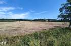 Teren extravilan de vanzare Barsau, jude?ul Hunedoara 7 hectare