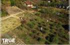 Terenuri intravilane de vanzare in Corunca, zona Valea Iubirii 1.446m2