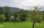 Vand teren superb la munte - 2