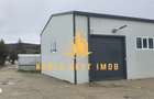 Hala industriala + sere + active business de vanzare Arges - 10