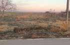 Vand teren intravilan 1.100 mp in Cenad judetul Timis 8 / mpTimis - 2