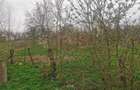 Teren intravilan de vanzare - 1
