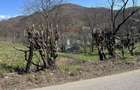 Teren 1,106mp Baia Mare / Strada Firiza - 1