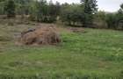 Teren de vanzare jud Buzau comuna Bisoca