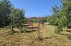 Teren intravilan de vanzare 3375 mp in Brebu - 3