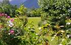 House for sale, 5 Rooms, 180 sqm, Valea Dejani - 2