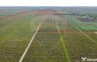 Oportunitate vie 54 ha la DN E85 - 5