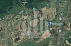 Teren extravilan | Agricol | 15800 mp | 45 ml deschidere | Salistea - 1