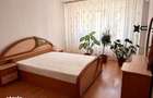Inchiriez apartament 3 camere Decebal, parter - 2
