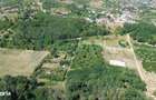 Gaminvest Teren intravilan de vanzare, Paleu, Bihor,V4312