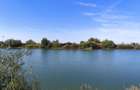 Balta de Pescuit, Cabana din Busteni, Teren 6,37 ha, langa Oradea - 16