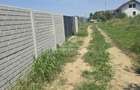Teren ingradit Domnesti Teghes - 1