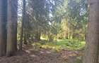 Neagra Sarului - Saru Dornei, Teren S = 6450 mp; 13 km de Vatra Dornei - 8