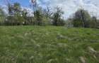 Teren cu vedere panoramica de vanzare in Chinteni - 5