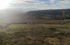 Teren intravilan sat Ciurila 1000 m - 2
