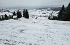 Teren extravilan de vanzare in Bucovina Breaza zona Paraul Negrei - 1