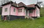 Vind casa cu 3 camere camara hol pivni?a sura sopru grajd curtea are 4000mp plus un teren de 17300mp - 1