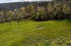 Vand teren intravilan - 3
