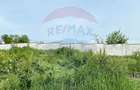 Teren intravilan de vanzare 2,464 mp, Gurbanesti - 3