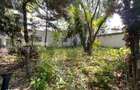 Vila Consolidata D+P+1+M | Unirii - Traian - Matei Basarab | Teren 600 - 6