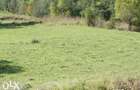 Teren de 3142 mp, în Vulcana-Băi - 5