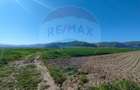 Panorama deasupra lumii Teren de poveste Gura Raului, zona Peste Grui - 5