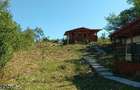 Vand casa de vacanta in TES, jud. Timis - 6