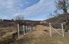 Teren de vanzare Valea Rusului - 4