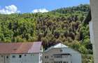 Apartament cu 2 camere de vanzare in Azuga - 1