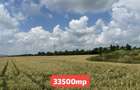 Teren extravilan 33500mp Gara Harman, Brasov - 2