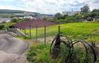 Teren 603 mp cu proiect de casa autorizat Corunca, str. Crinului - 6