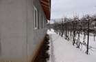 Casa Individuala Arcalia 15km de Bistrita - 4