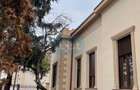 House for sale, 4 Rooms, 200 sqm, 630 sqm, Satu Mare - 6