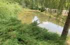 Vind casa de vacanta cu trei casute si pescarie - 5
