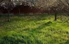 Proprietate de vanzare - 1