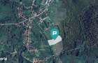 Teren faneata langa padure - Hunedoara - 1