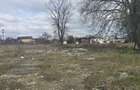 Exclusivitate,Agigea-Penny Market, teren 49284mp, intravilan,124m desc - 5