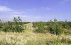 Parcele Teren extravilan Livada si Pasune Lunca Corbului Arges - 10