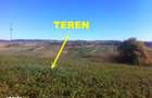 Teren Tasad 3 164 mp pt casa vacanta - 7