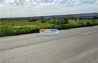 Teren Industrial 3 HECTARE Str Rudeni cu deschidere 50 ML - 3
