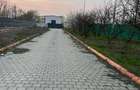 Centura Bucuresti, vand teren 25000 metri, venind 30 euro metru patrat - 2