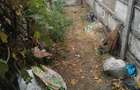 Rate vand schimb Casa Severin i