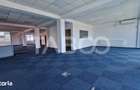 Spatiu de birouri disponibil imediat pe Calea Dumbravii 240 mp utili - 5