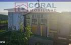 Proprietate cu teren extravilan, comuna Carjiti - 7