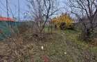 Casa in Filipestii de Targ,teren 2700 mp-- 29.000e - 7