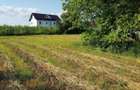 Teren intravilan Adunatii Copaceni | 3.399 mp | Ideal investitie - 11