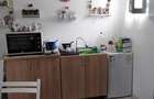 Teren munte cu cabana lemn si casa modulara - 8