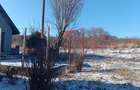 Ocazie! Visan TEREN 1616mp intravilan lot pt constructie casa - 5