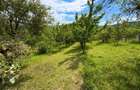 Casa pe un singur nivel+2974mp teren in Aciliu - 4