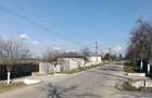 Casă cu Teren 10000 Mp în Calopăr - 1